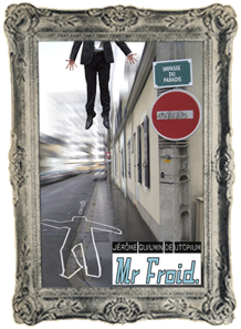 Monsieur froid par Jerome Guilmin